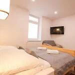 Апартаменты Center Standard 3